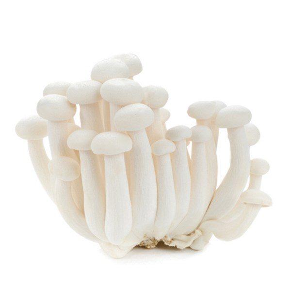 Buy MUSHROOM SHIMEJI WHITE 1PKT Online at Best Price Dubai