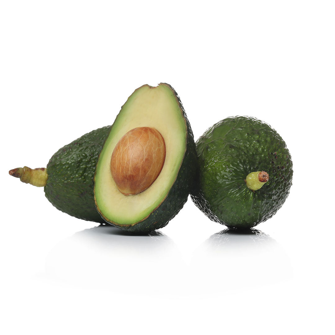 AVOCADO HASS SOUTH AFRICA/TANZANIA – Fresh Focus