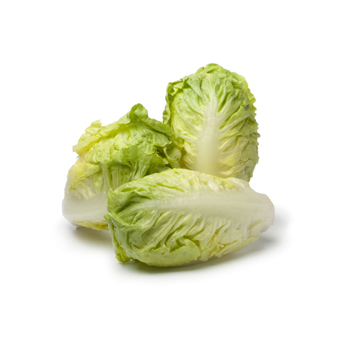 BABY GEM LETTUCE