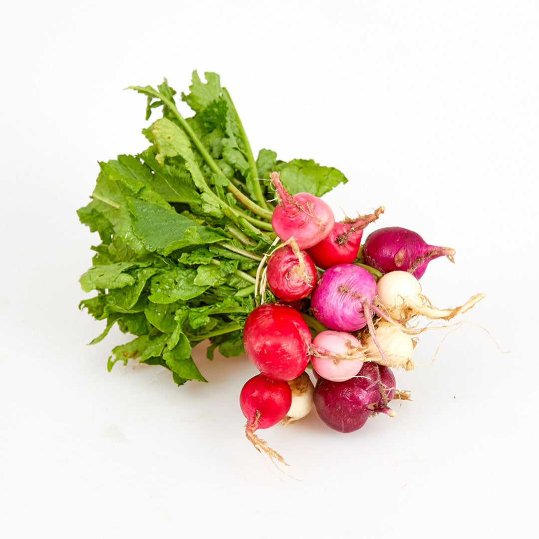 Baby Red Radish Buy Online at Best Price in Dubai UAE – Fresh Focus