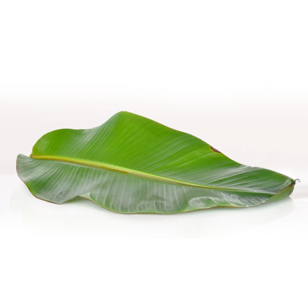 Buy Banana Leaves Online at Best Price in Dubai UAE – Fresh Focus