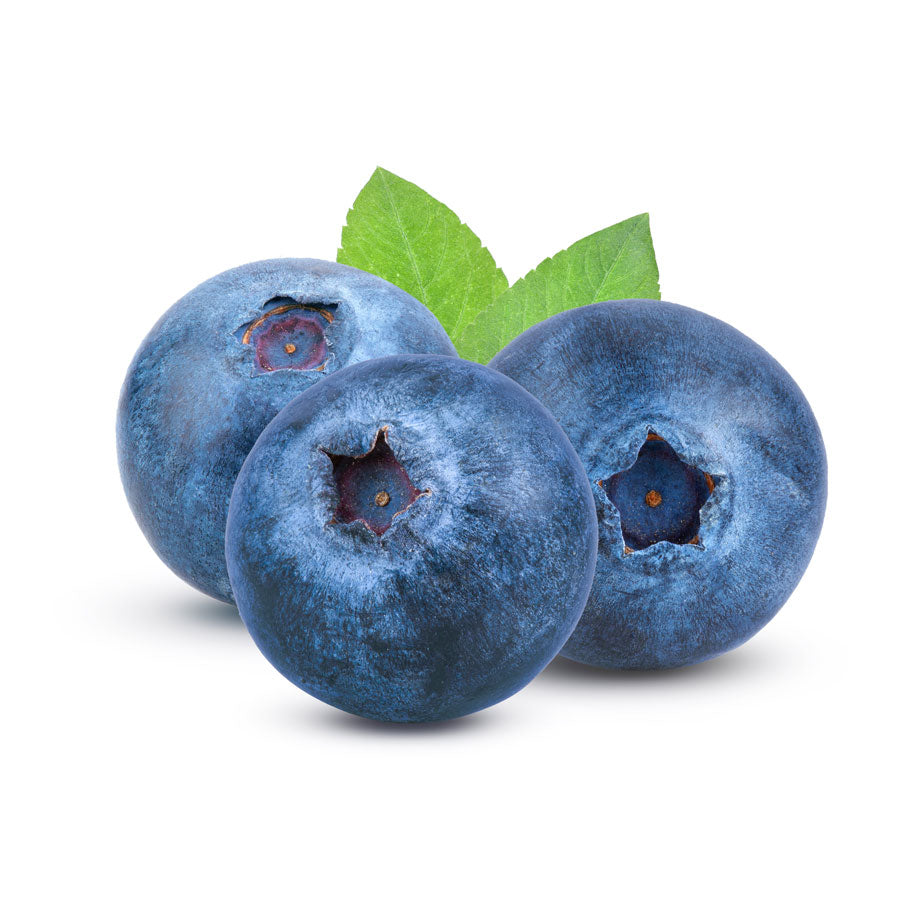 Buy Blueberries 1PKT Fresh Fruit Online at Best Price in Dubai