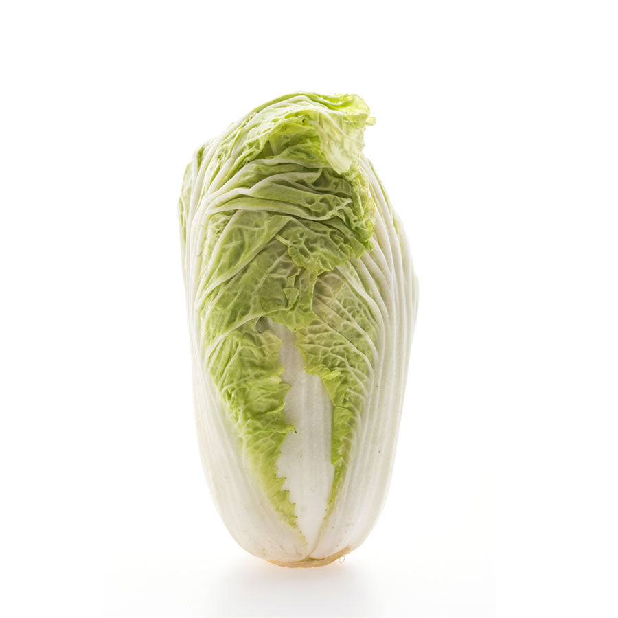 Buy CABBAGE CHINESE 1Kg Online at Best Price in Dubai - Fresh Focus