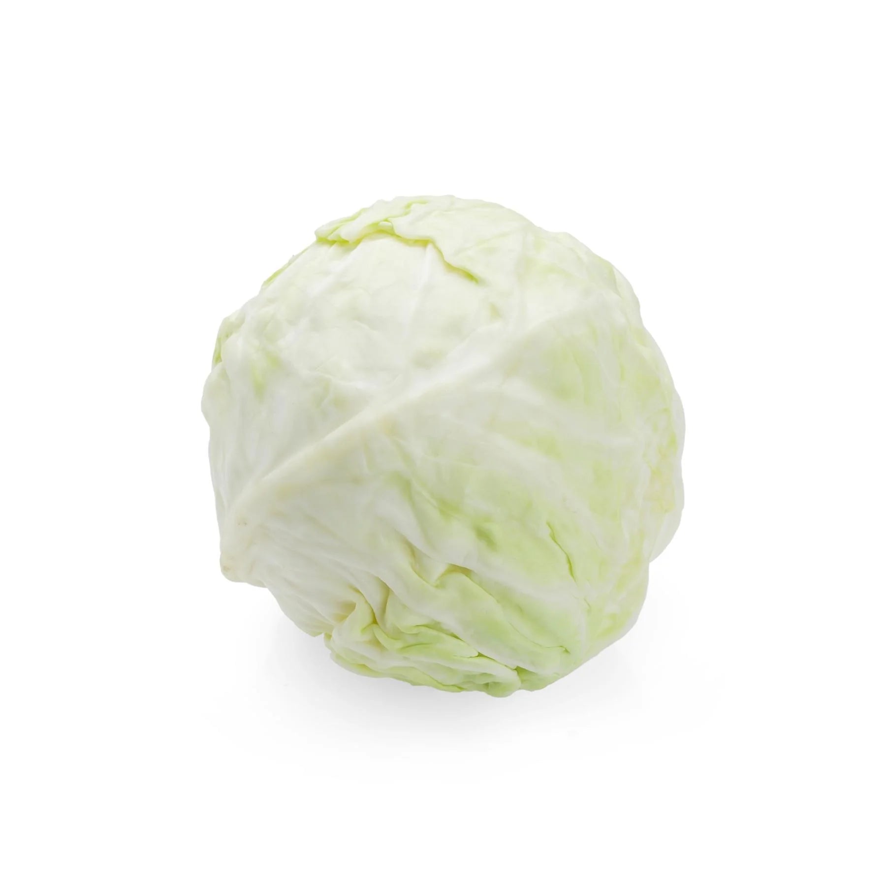 Buy Organic White Cabbage Online at Best Price in Dubai – Fresh Focus