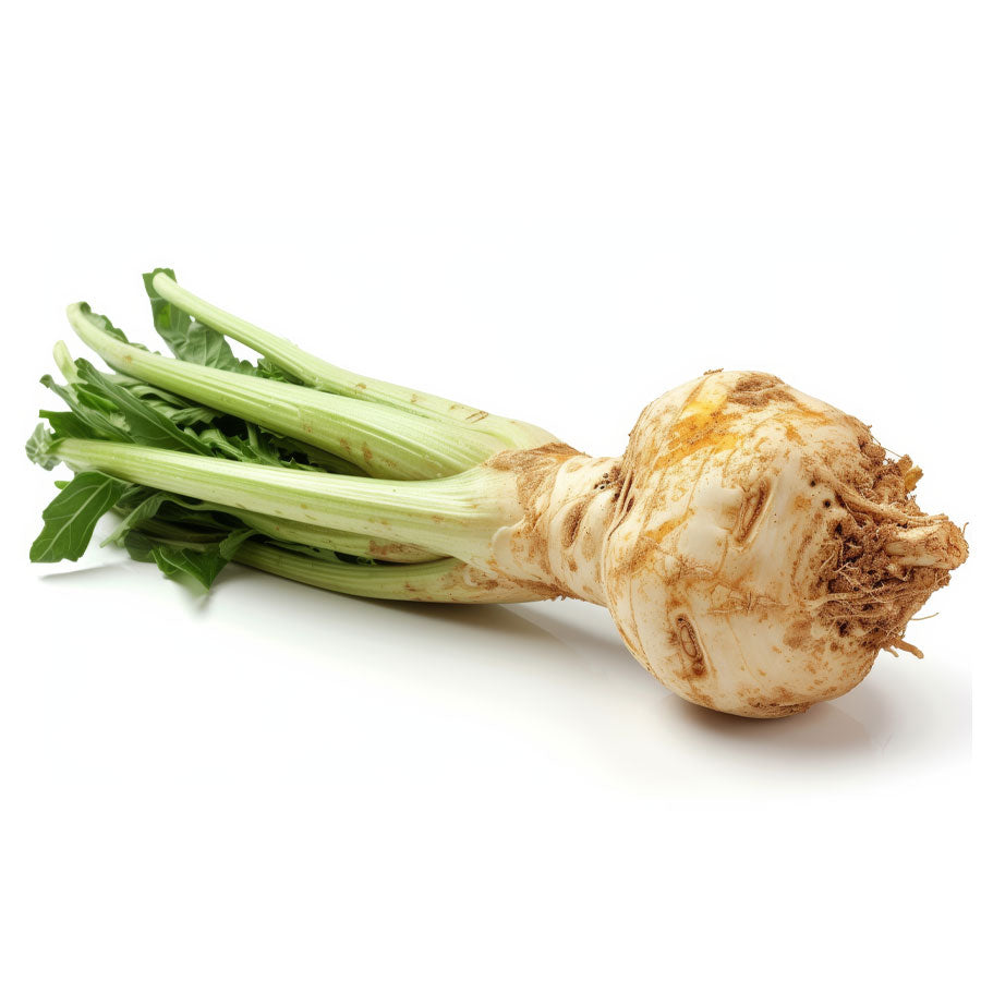 CELERY ROOT CELERIAC Online at Best Price in Dubai - Fresh Focus