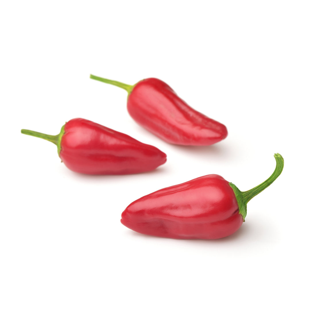 CHILLI RED THAI SMALL Buy Online in Dubai - Fresh Focus