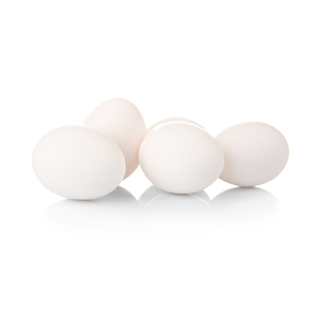 EGGS PASTEURISED