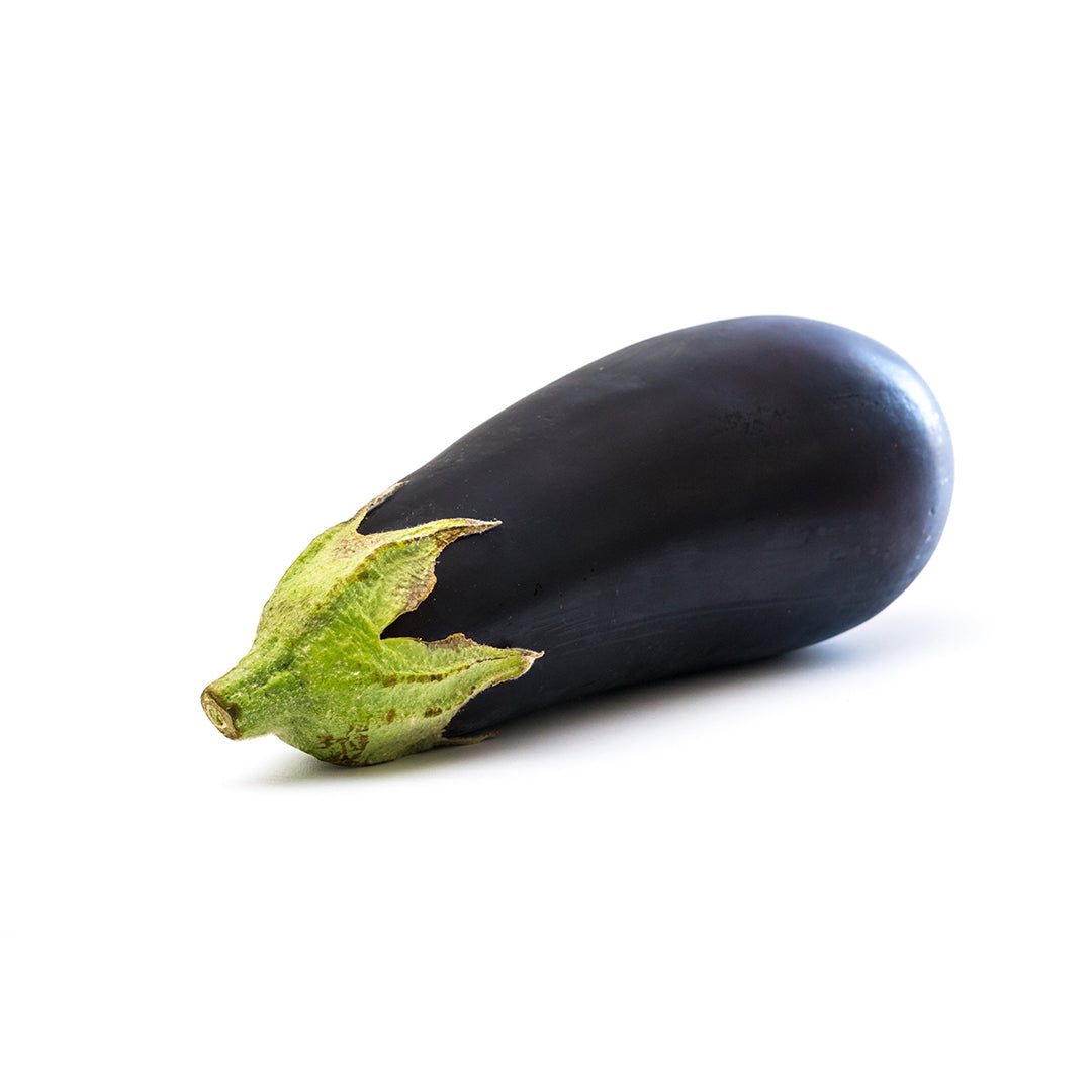 EGGPLANT LARGE HOLLAND