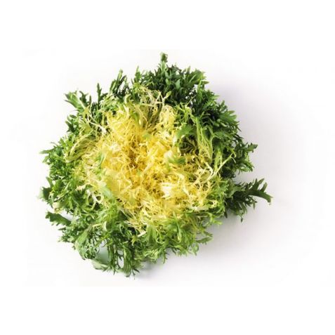 Buy Fresh LETTUCE FRISEE YELLOW Online Dubai 2024 – Fresh Focus