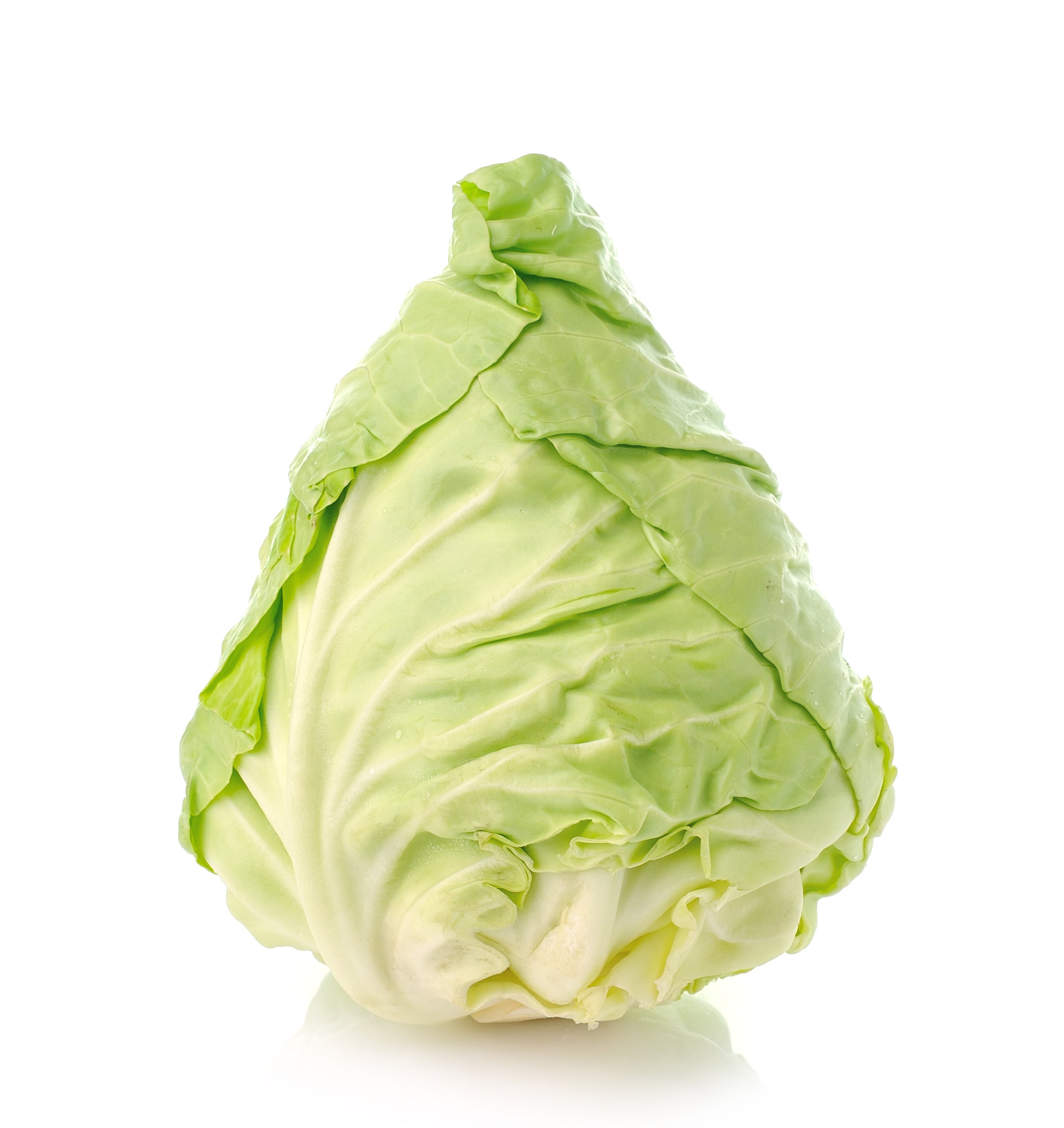 Buy Lettuce Iceberg 1kg Online Dubai at Best Price – Fresh Focus