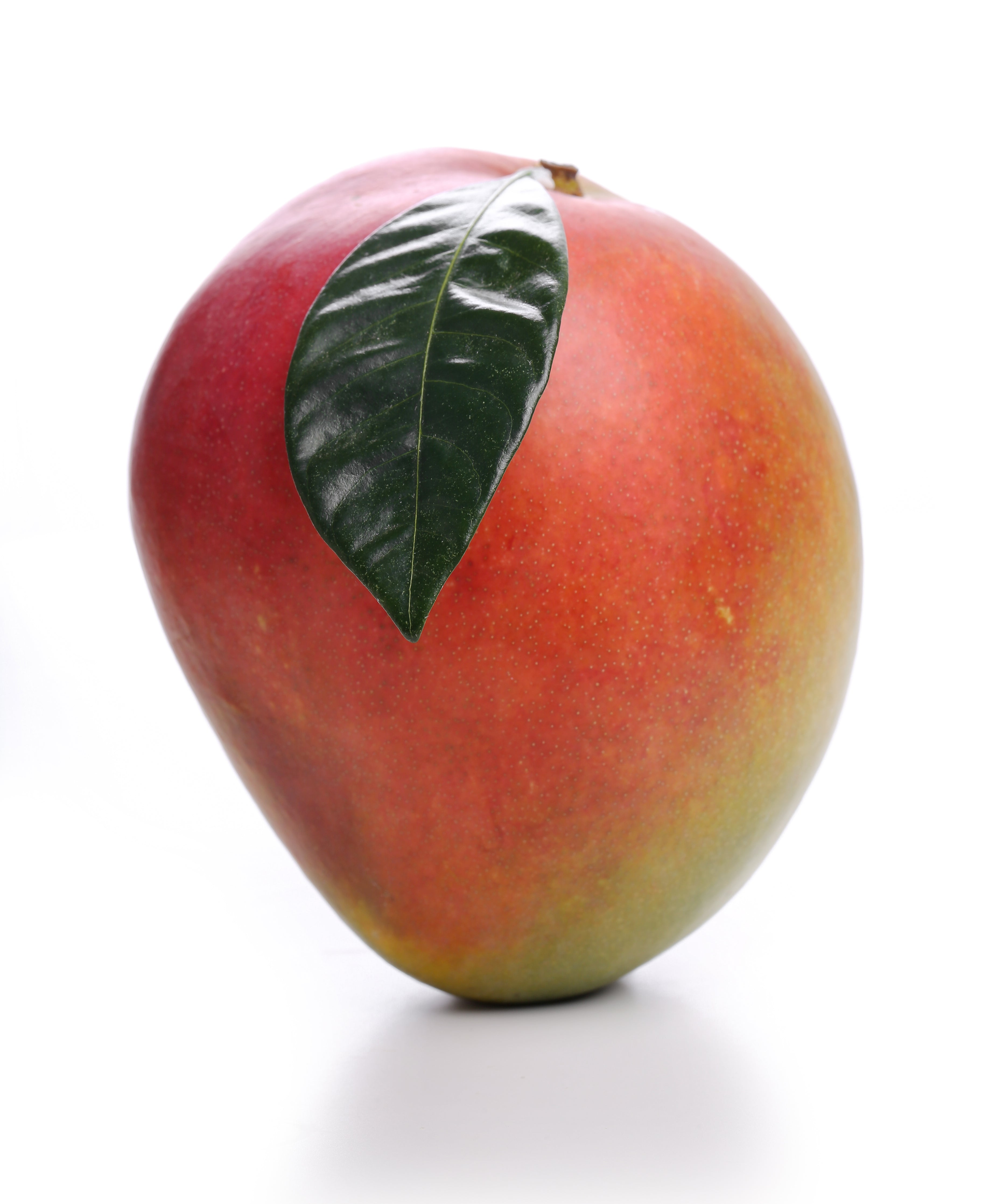 Buy Mango Australia 1Kg Online at Best Price Dubai - Fresh Focus