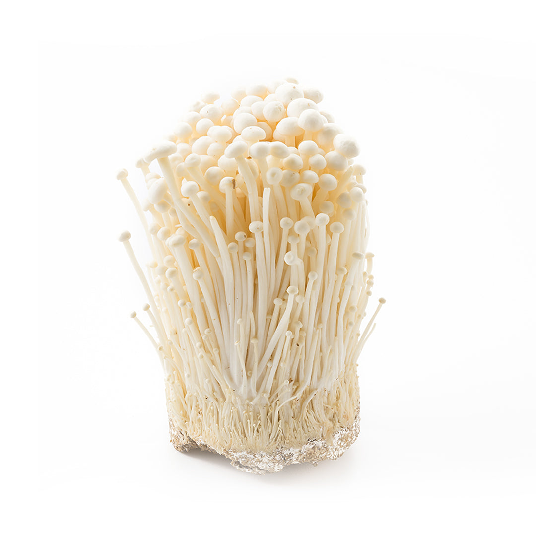 MUSHROOM ENOKI 1PKT Buy Online at Best Price in Dubai – Fresh Focus