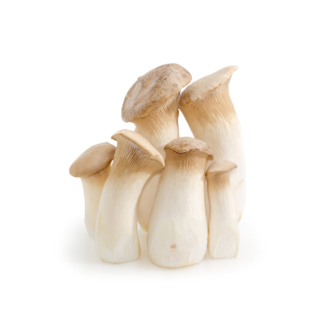 MUSHROOM ERINGI KING OYSTER 200G Online in Dubai – Fresh Focus