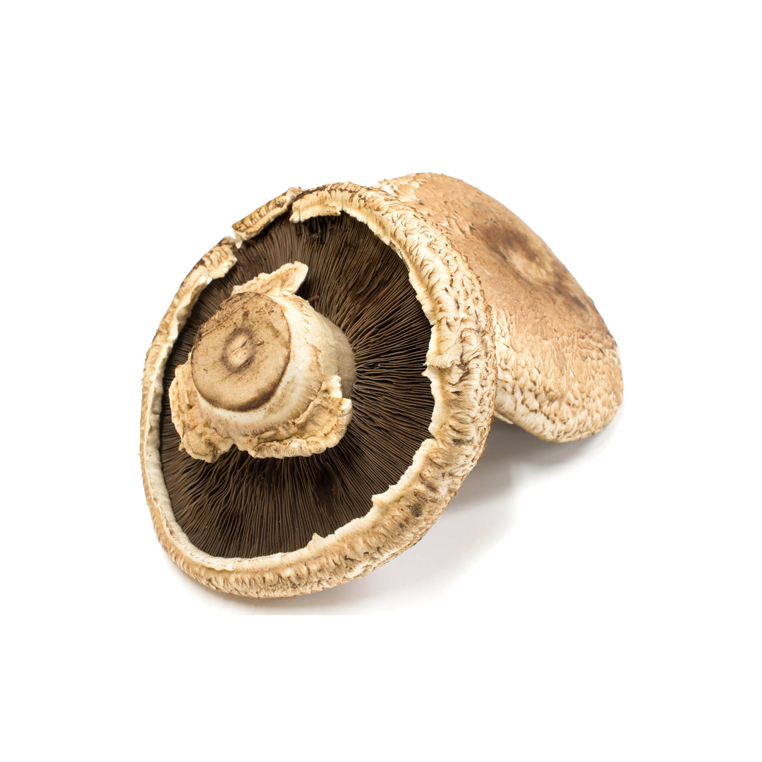 MUSHROOM PORTABELLA 1KG Buy Online in Dubai – Fresh Focus