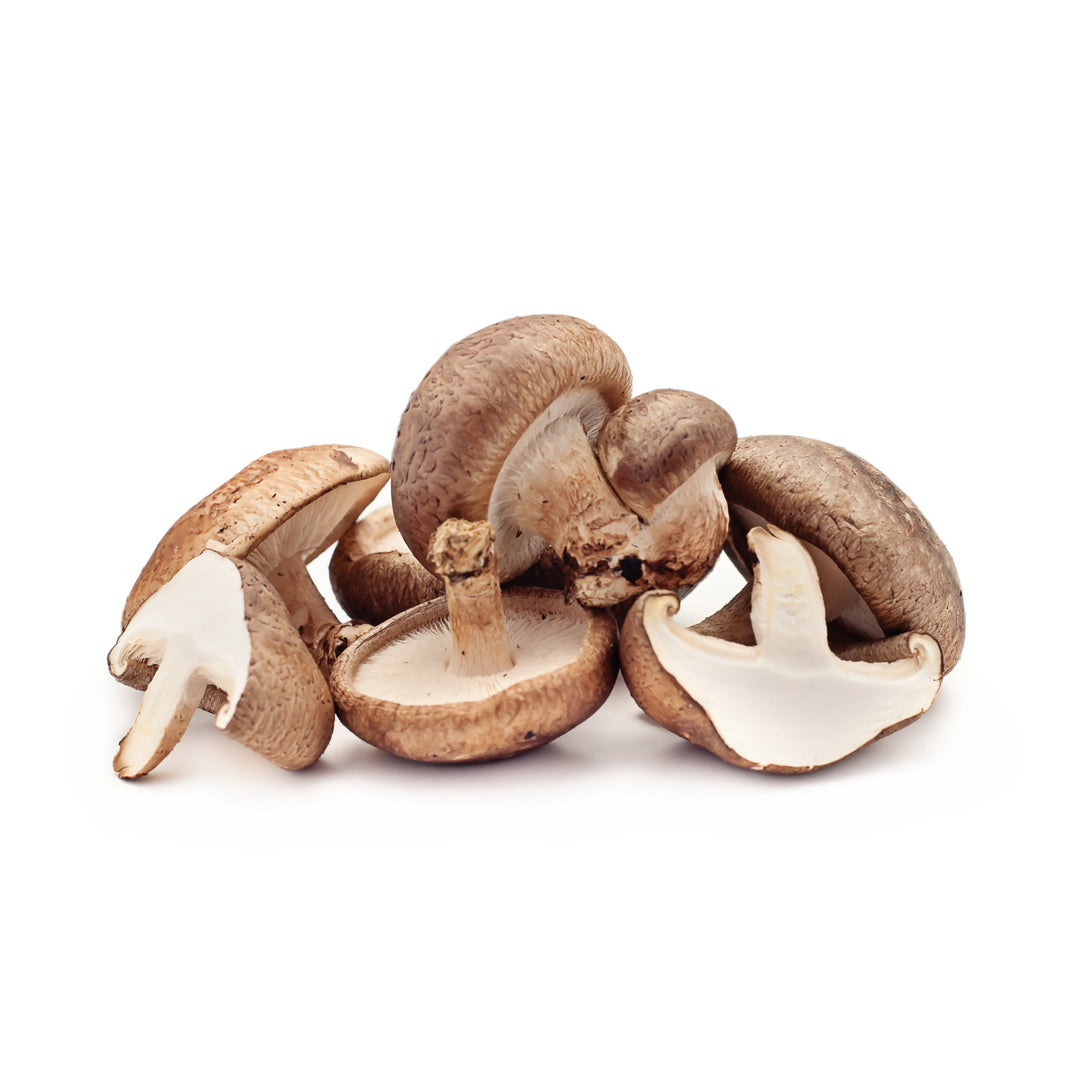 Buy MUSHROOM SHIITAKE 1Pkt Online at Best Price – Fresh Focus