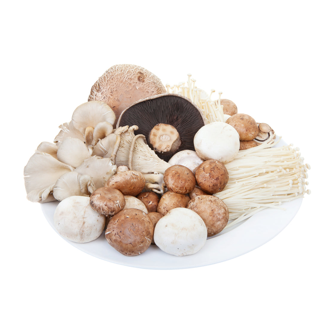 MUSHROOM WILD MIX 1Kg Buy Online in Dubai at Best Price