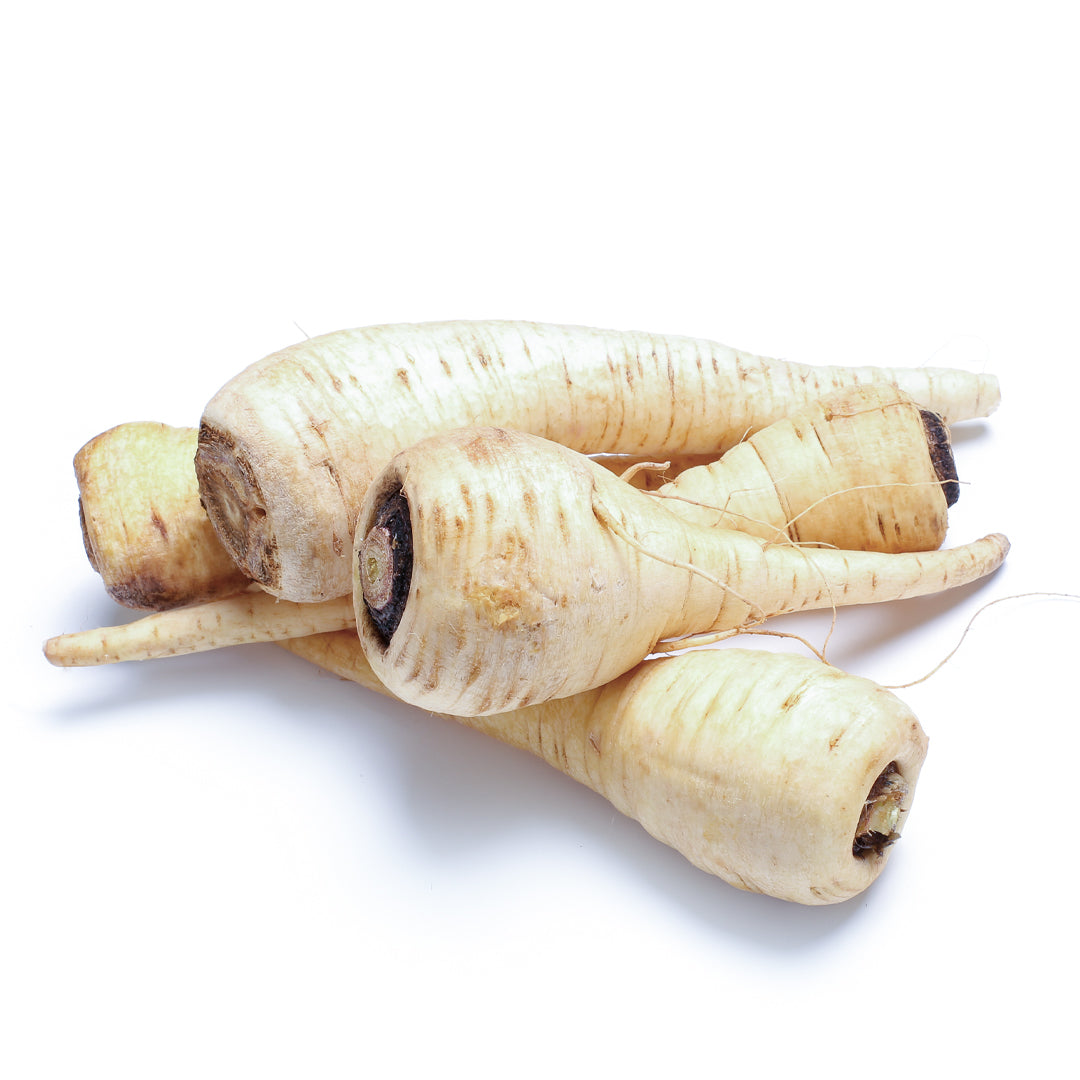 Buy White Parsnip 1kg Online at Best Price in Dubai – Fresh Focus