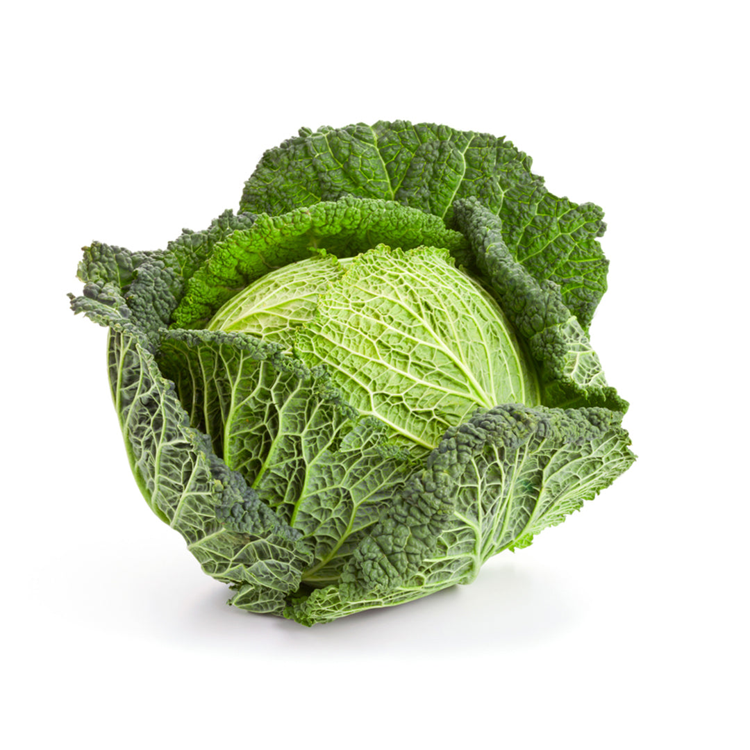 SAVOY CABBAGE 1Kg Buy Online in Dubai at Best Price – Fresh Focus