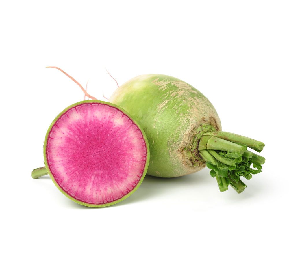 Buy Watermelon Radish Holland at Best Price Dubai UAE – Fresh Focus