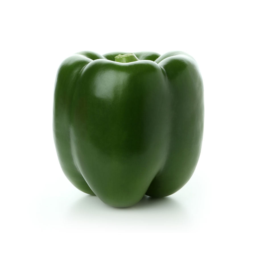 CAPSICUM GREEN