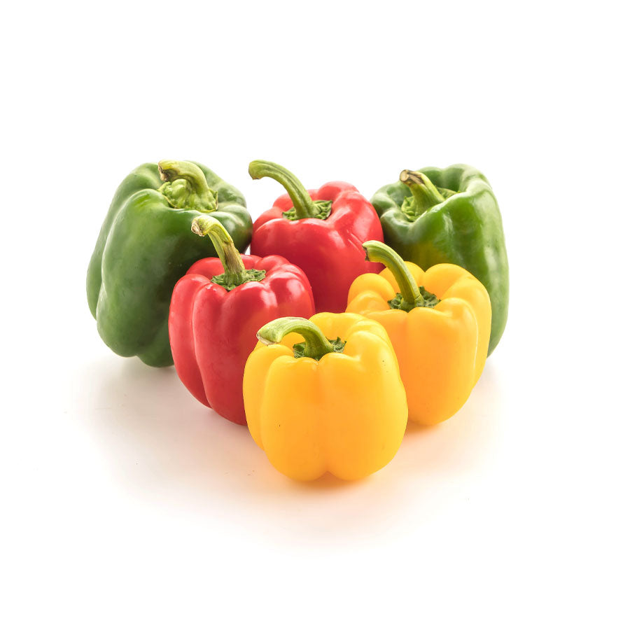 CAPSICUM MIX Dubai - Fresh Focus