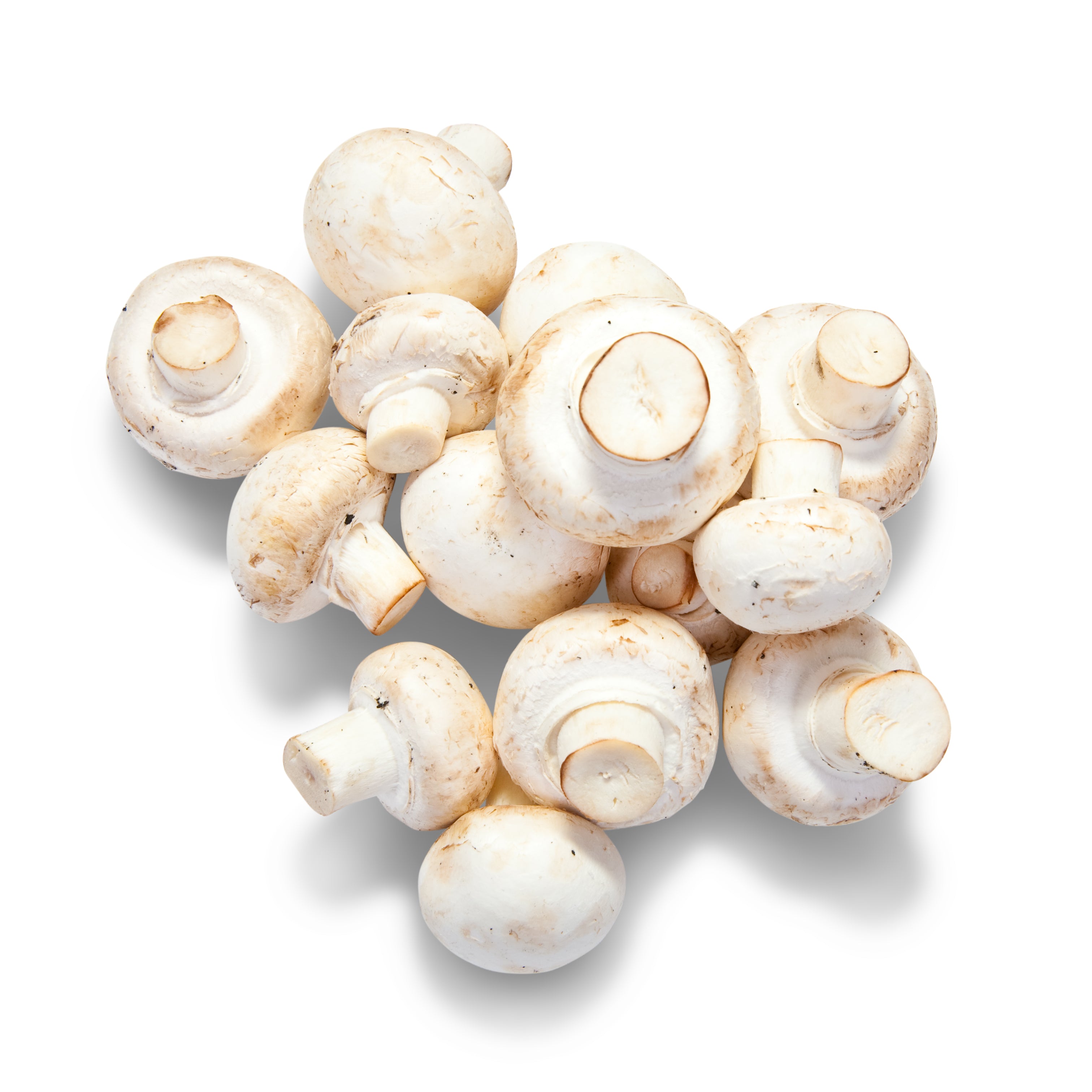 MUSHROOM BUTTON 1KG Buy Online at Best Price in Dubai – Fresh Focus