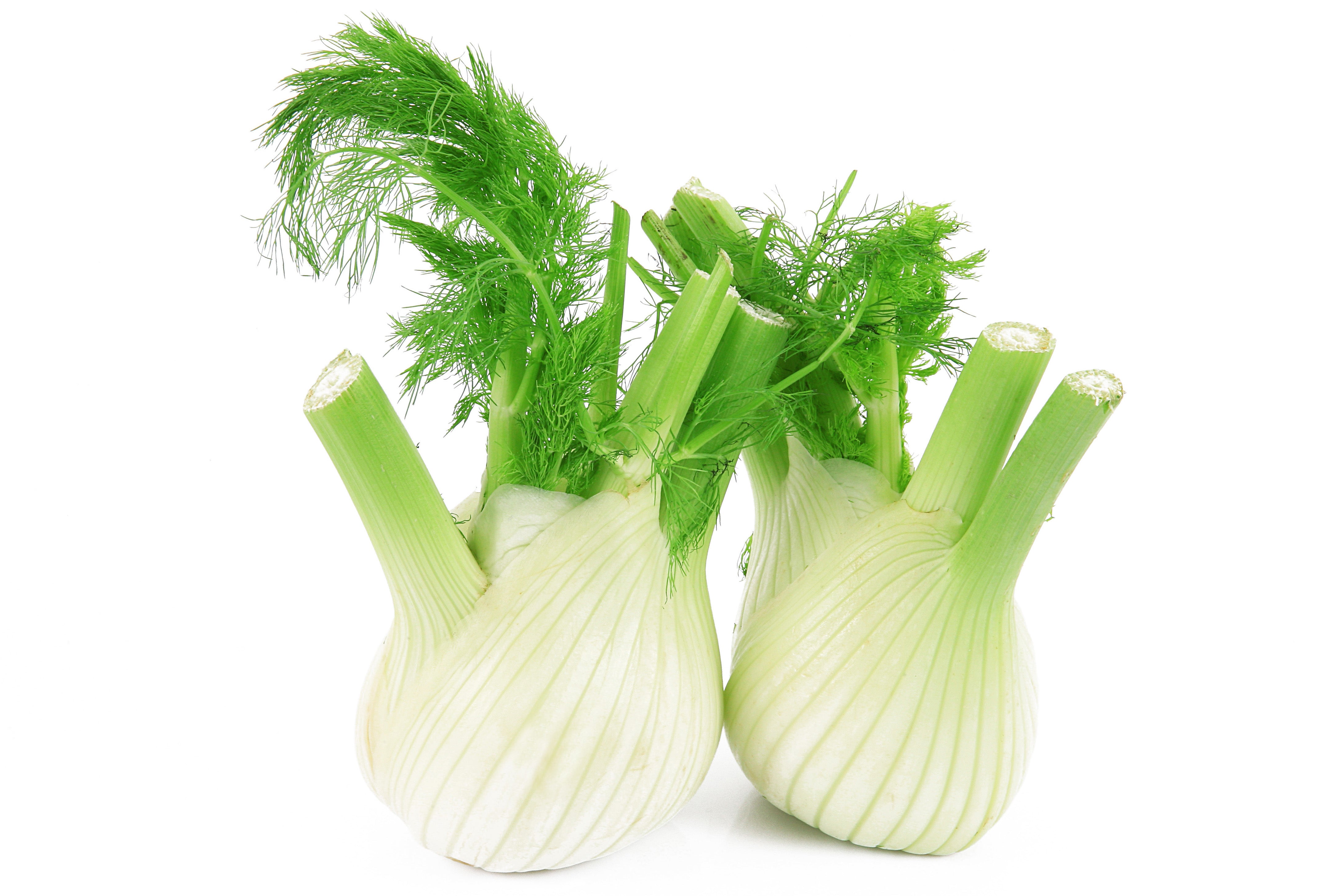 Buy FENNEL 1KG Online at Best Price in Dubai UAE – Fresh Focus