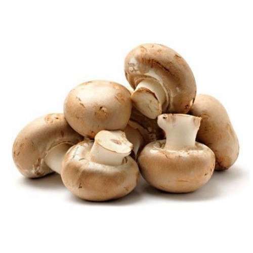 MUSHROOM BROWN 1Kg Buy Online at Best Price Dubai – Fresh Focus