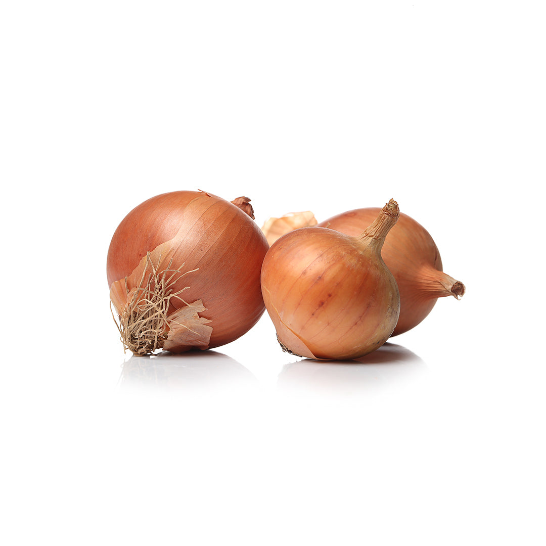 ONION BROWN 1Kg Buy Online in Dubai at Best Price – Fresh Focus