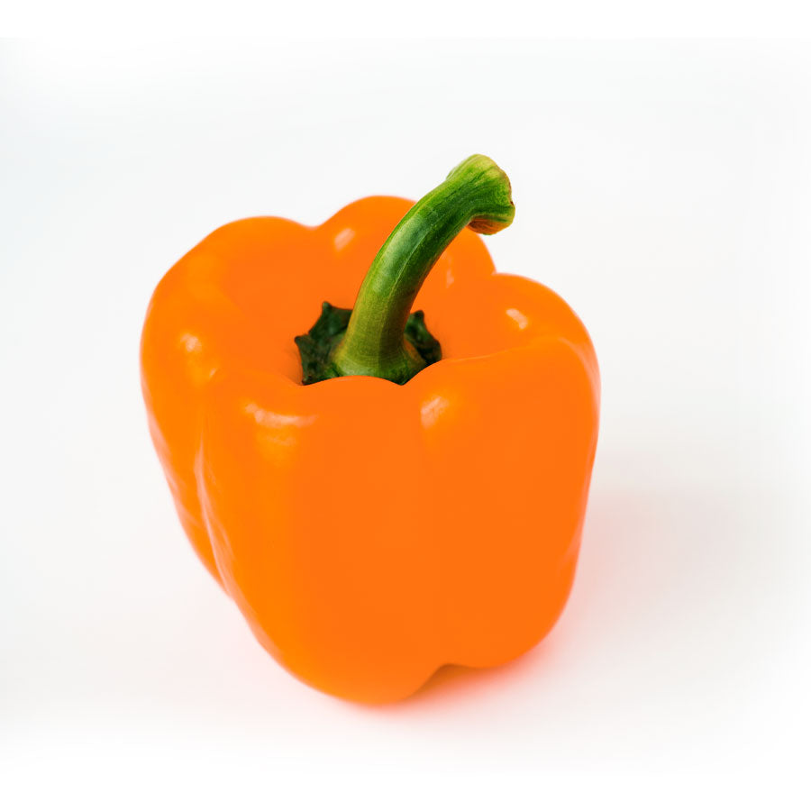 CAPSICUM ORANGE 1Kg Buy Online Dubai at Best Price - Fresh Focus