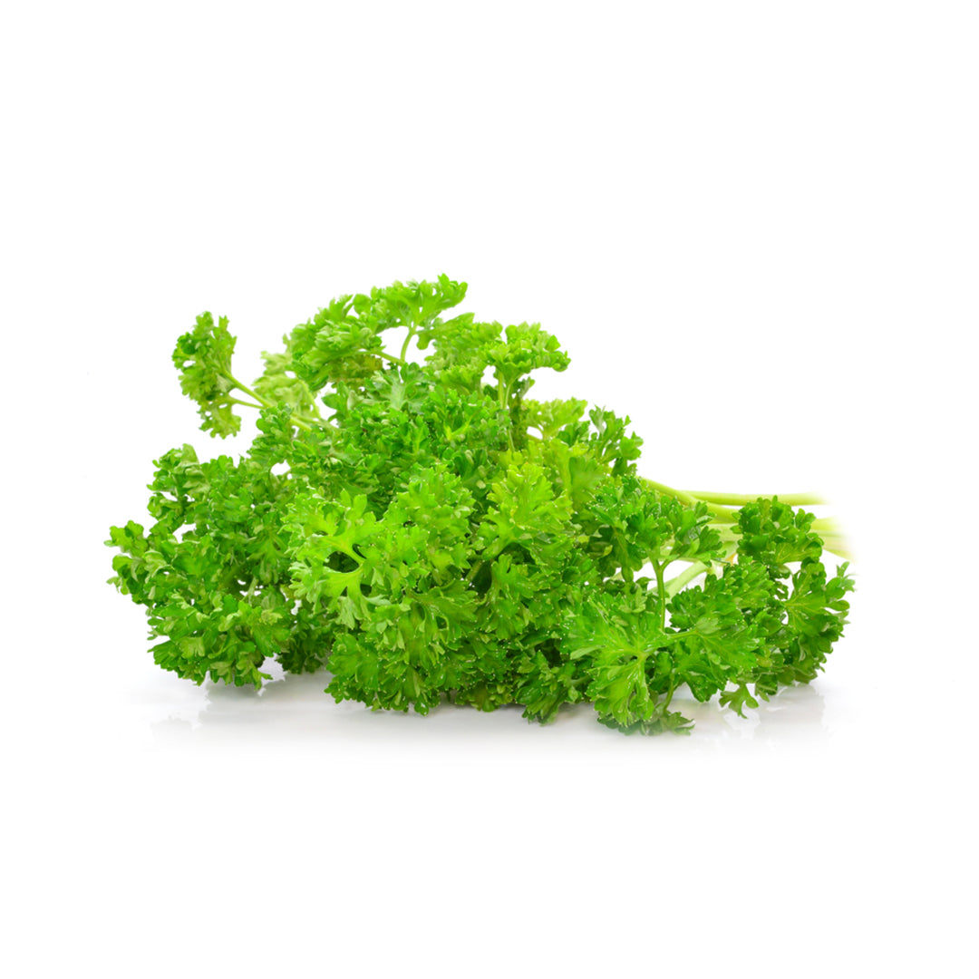 Buy Parsley English Online in Dubai at Best Price – Fresh Focus