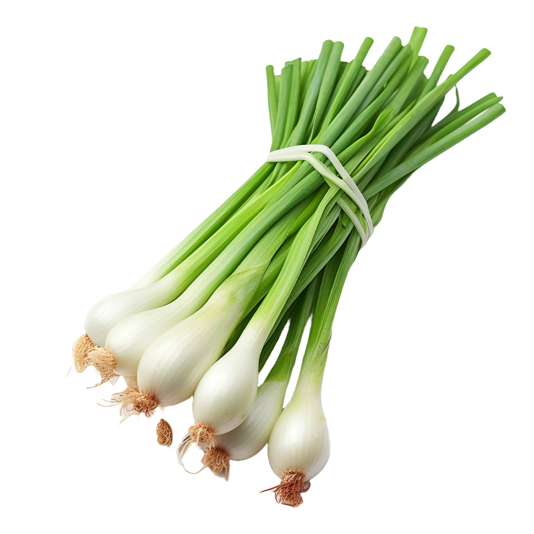 Spring Onion 1Kg Online Dubai at Best Price – Fresh Focus