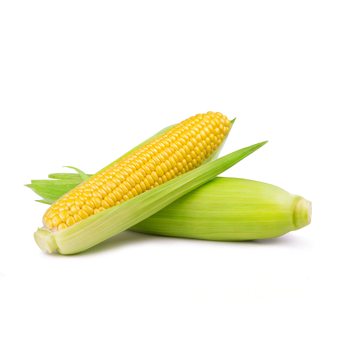 Buy Sweet Corn Online in Dubai at Cheap Price – Fresh Focus