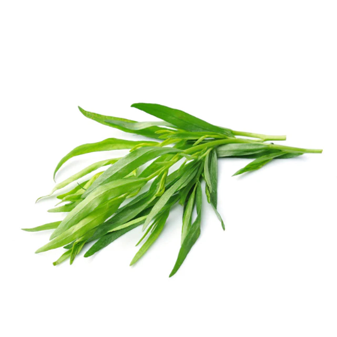 TARRAGON