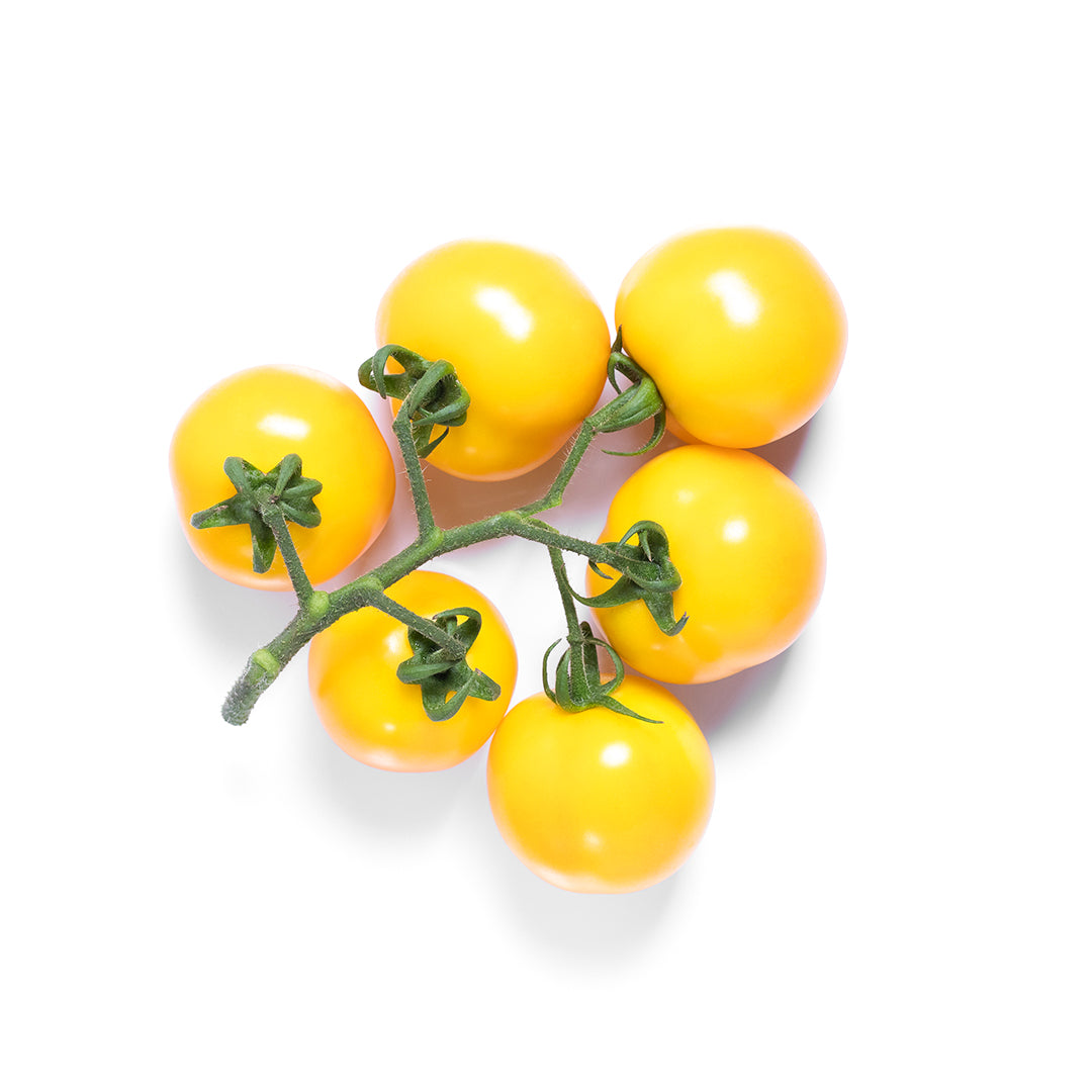 Buy Tomato Cherry Yellow 1Kg Online at Best Price Dubai – Fresh Focus