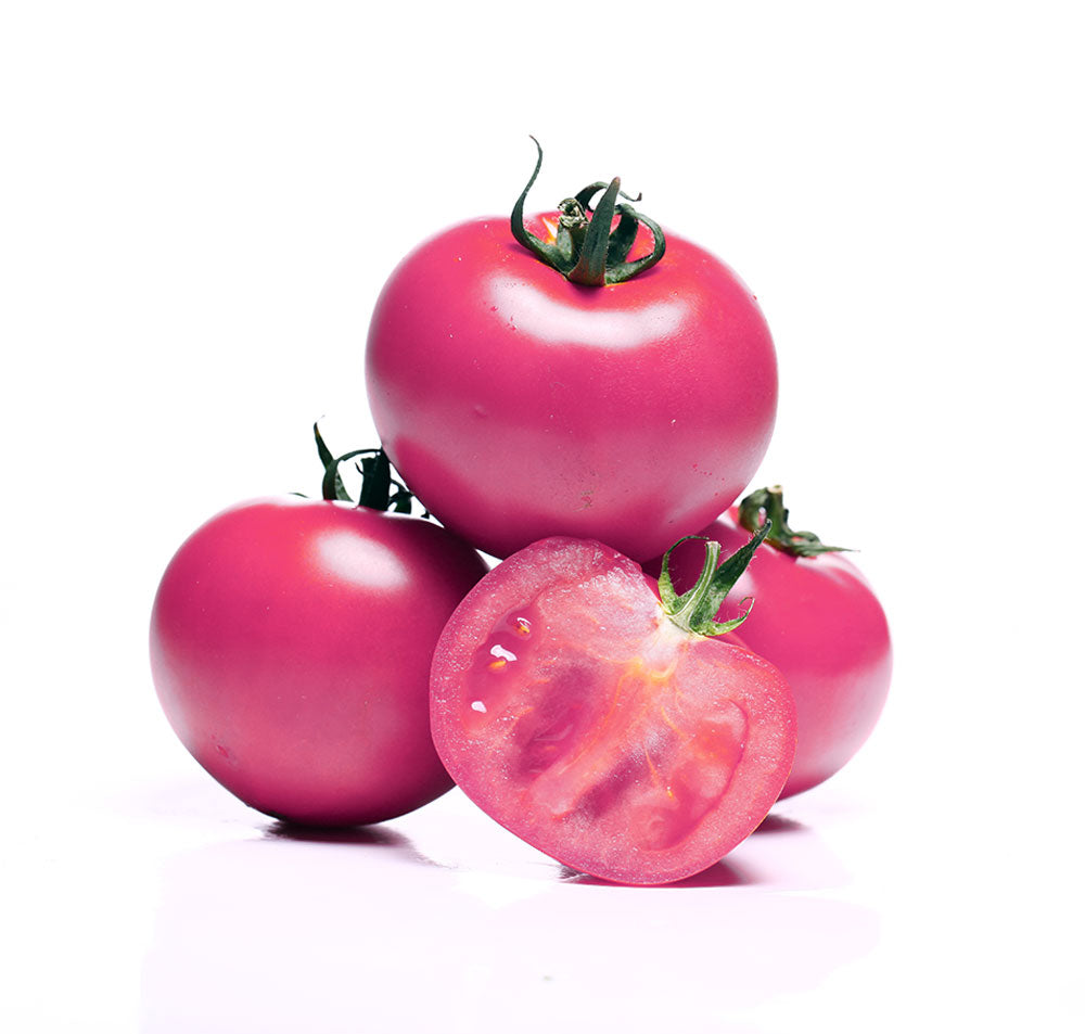 Buy Tomato Uzbek 1Kg Online at Best Price Dubai – Fresh Focus