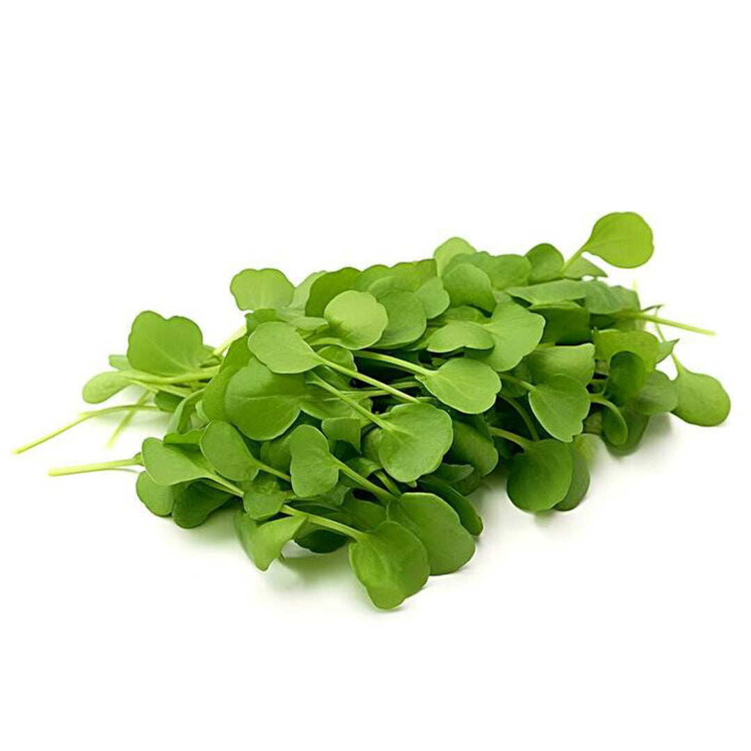 WATERCRESS