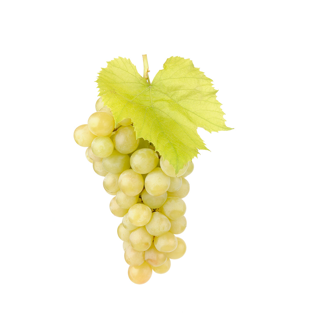 Buy Grapes White Fresh Fruit 500G Online in Dubai – Fresh Focus