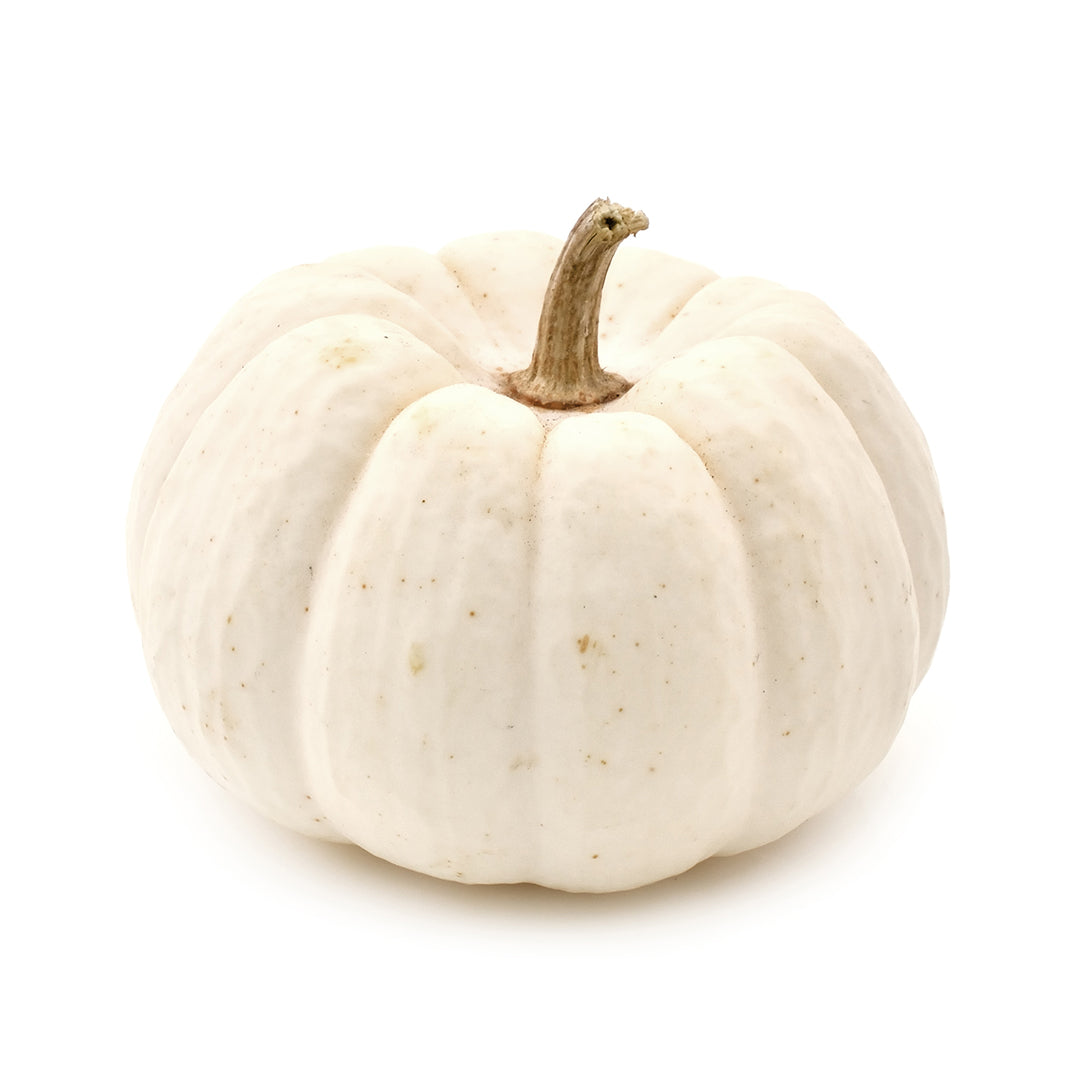 Buy Pumpkin White 1Kg Fresh Vegetable Online at Best Price