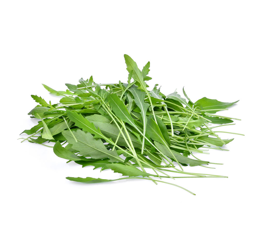 Buy Wild Rocket Leaves Online at Best Price in Dubai – Fresh Focus