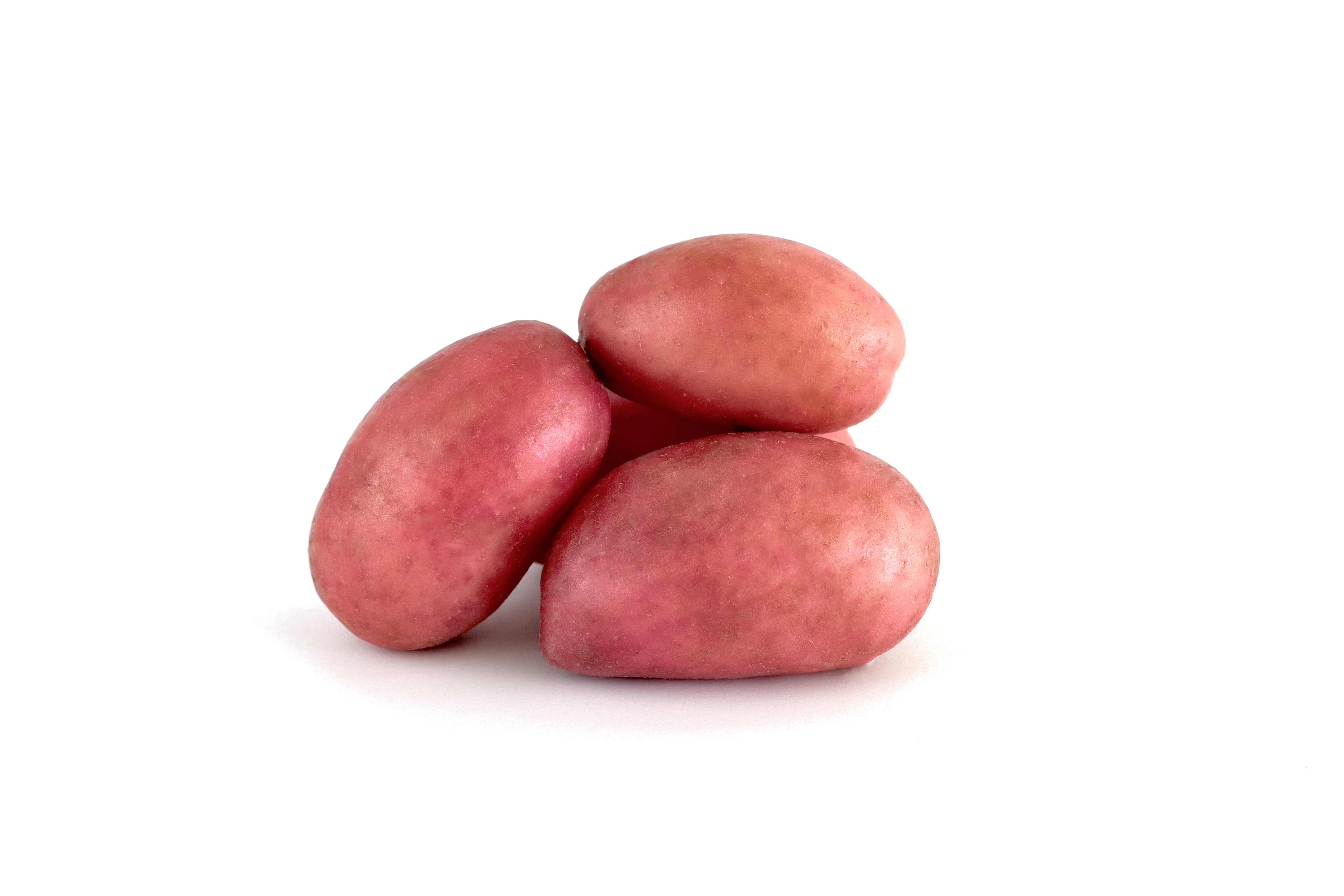 POTATO RED AUSTRALIA 1Kg Buy Online at Best Price – Fresh Focus