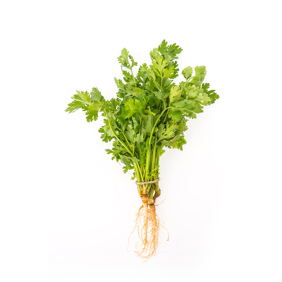 Buy Fresh Coriander Leaves Online at Best Price in Dubai – Fresh Focus