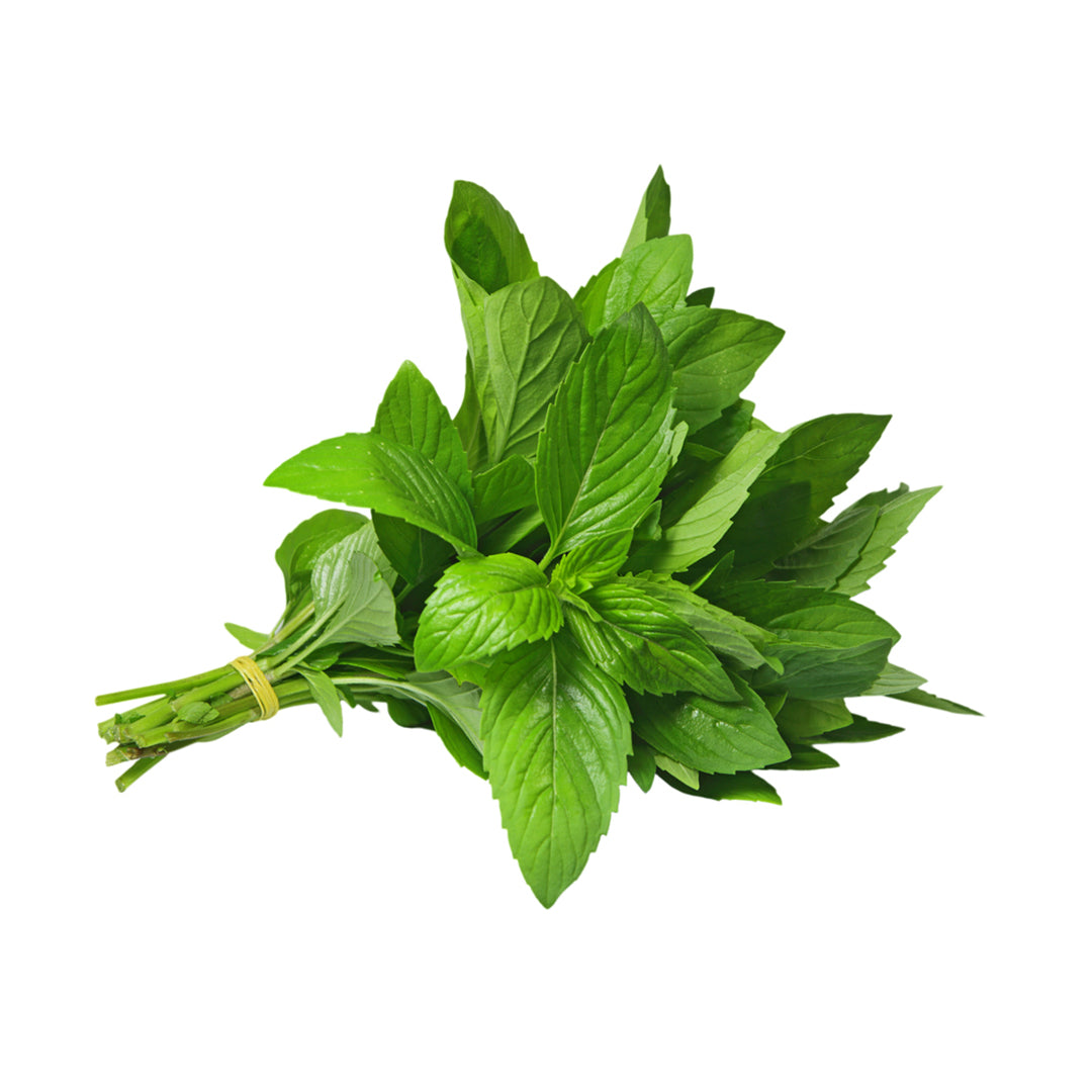 MINT Bunch 500 GM - Buy Online at Best Price
