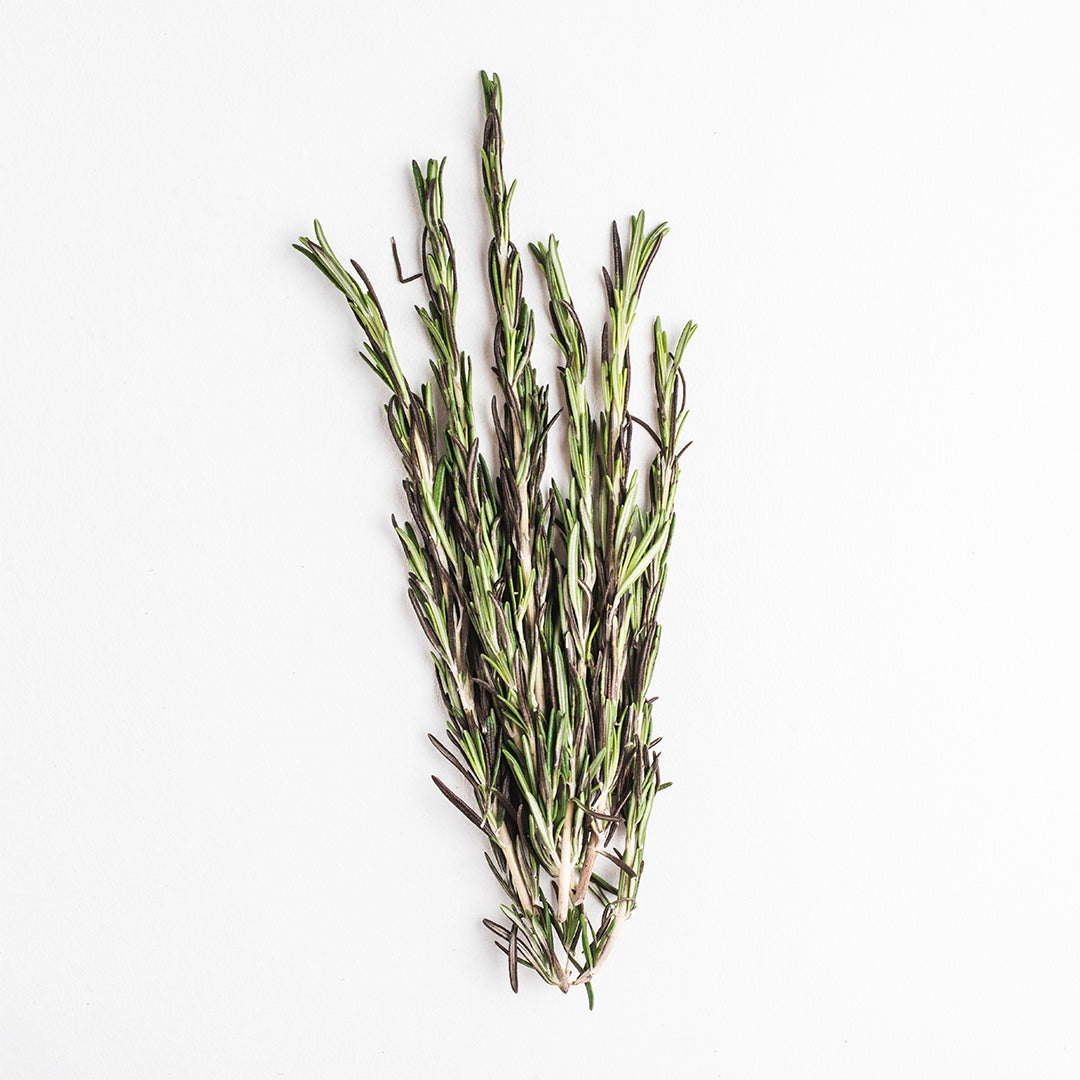 Rosemary Fresh Leaves Online at Best Price in Dubai – Fresh Focus