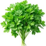 CHERVIL LOOSE - Image 2
