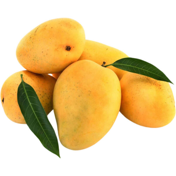 MANGO PAKISTAN