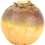 SWEDE