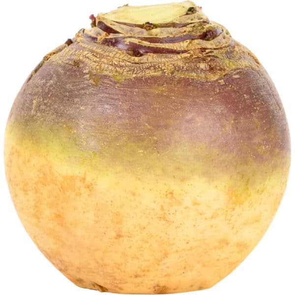 SWEDE