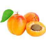 APRICOT - Image 2