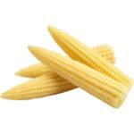 BABY CORN